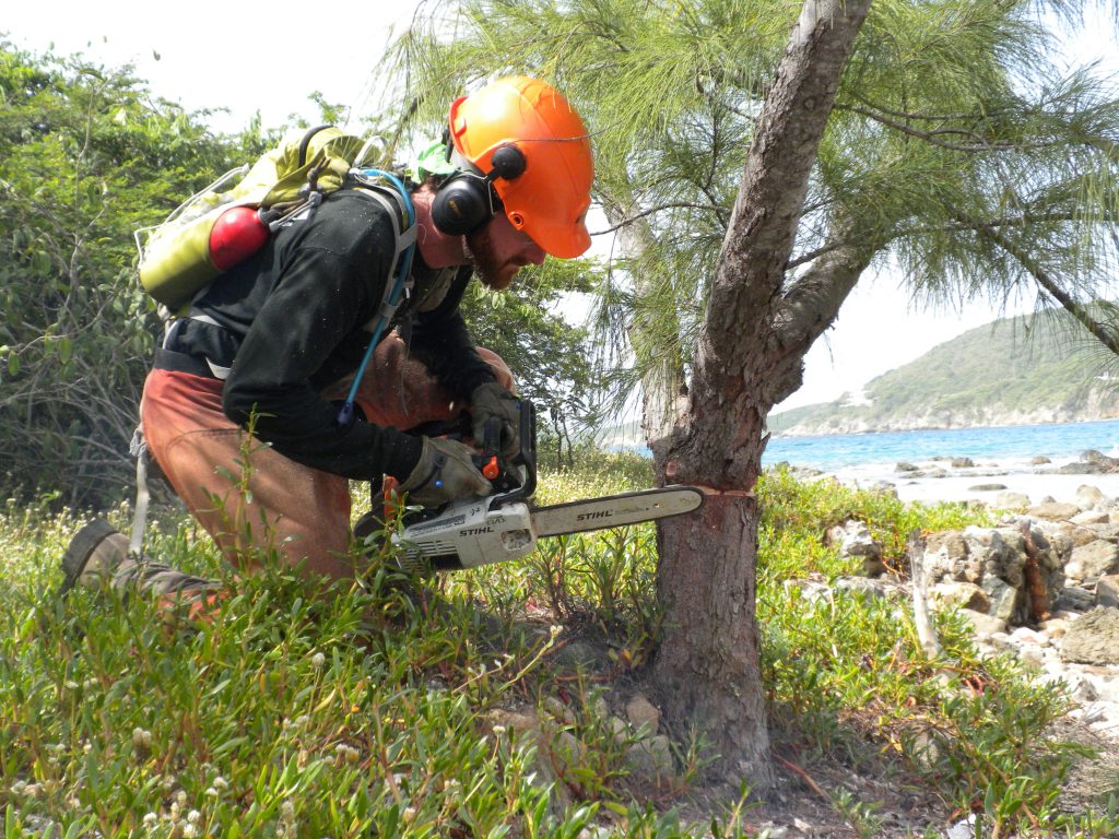 Dscn4189 Invasive Plant Control