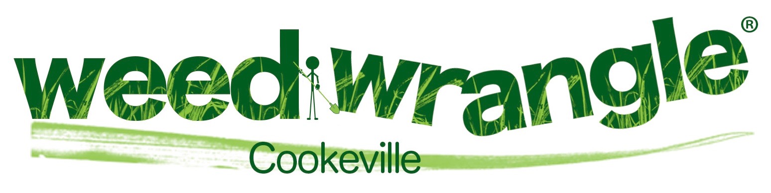 weedwrangle_cookeville