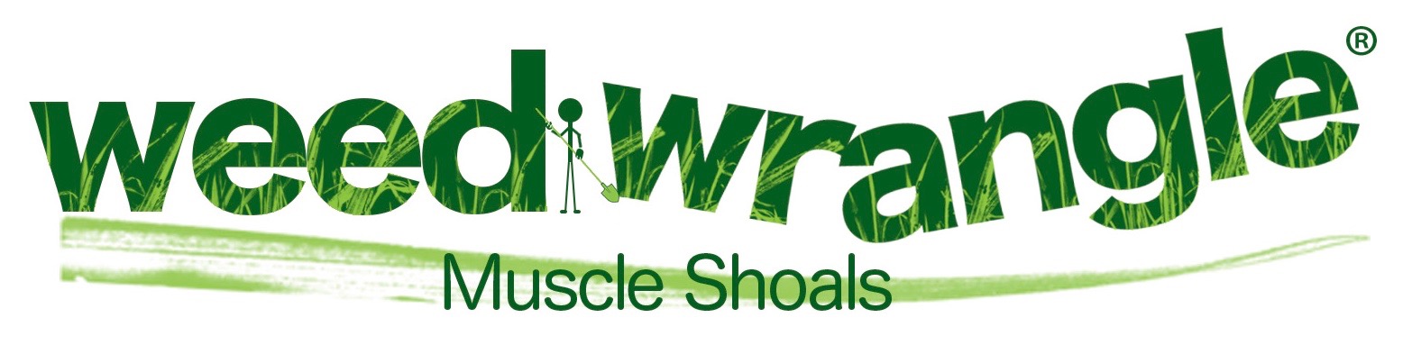 weedwrangle_muscleshoals